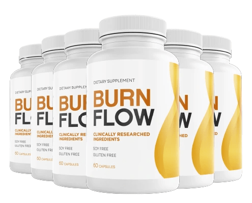 BurnFlow price
